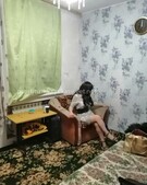 Анкета проститутки Алина - метро Академический, возраст - 26